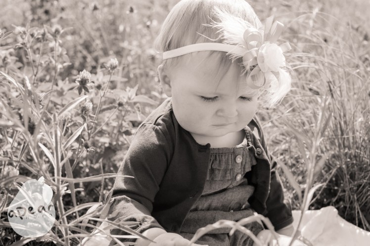Kansas City Family Photography, Kansas City Kids Photography