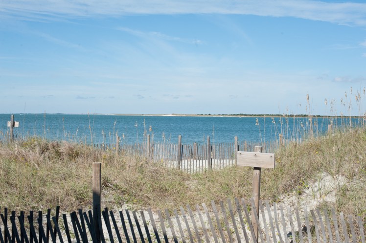 Jacksonville Family Photography, aPear Photography , Jacksonville Kids Photographywww.apearphotography.com