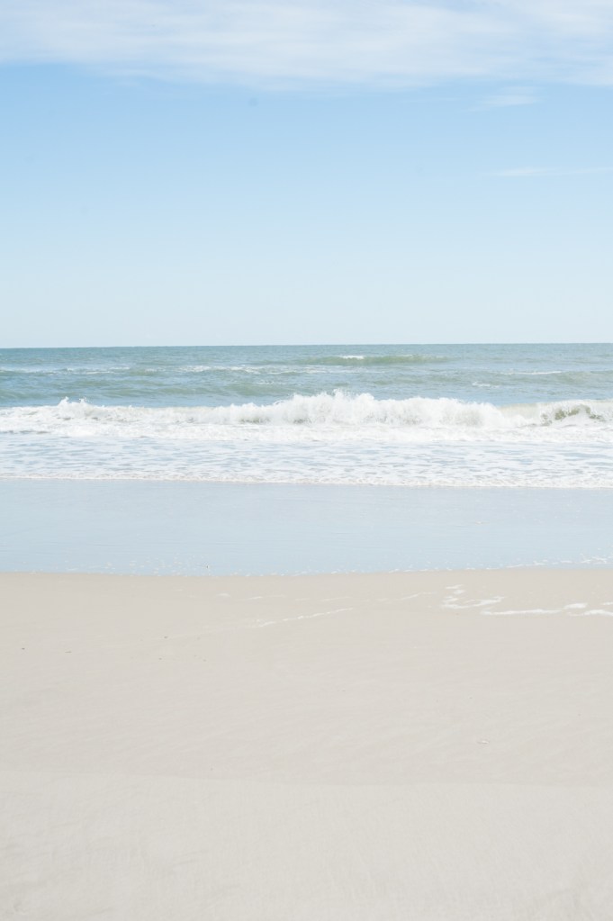 Jacksonville Family Photography, aPear Photography , Jacksonville Kids Photographywww.apearphotography.com